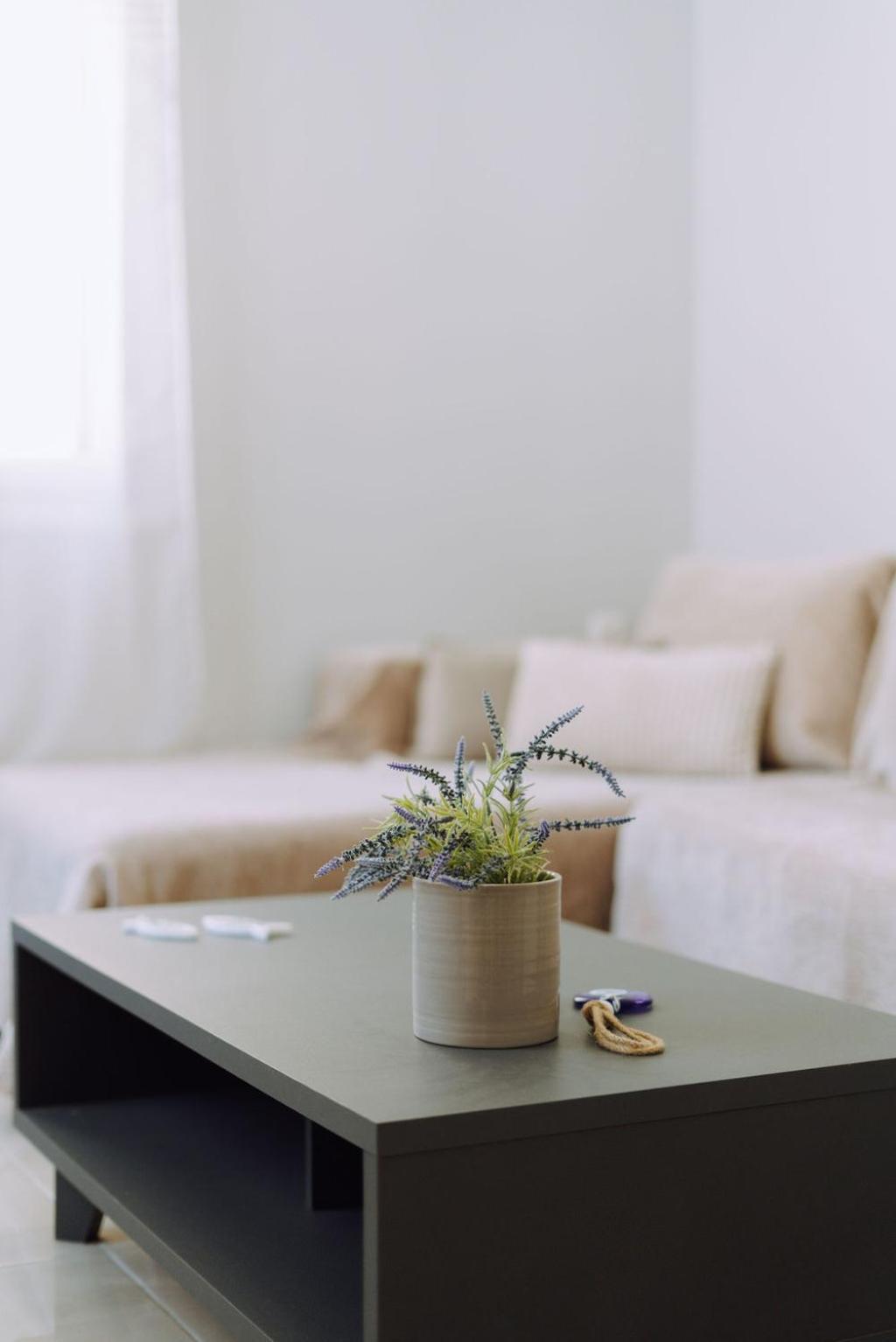 Lithostroto Suites アルゴストリオン エクステリア 写真